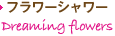 フラワーシャワー