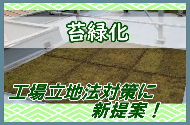 コケ新