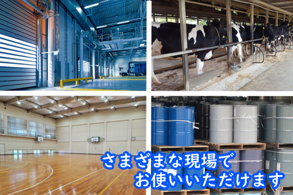 挿入画像２